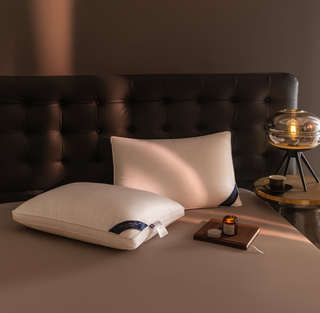Poly fiber Pillow 43*67